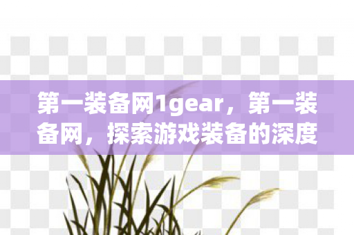 第一装备网1gear，第一装备网，探索游戏装备的深度与广度