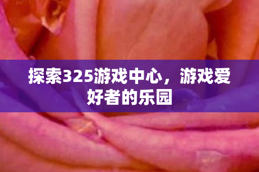 探索325游戏中心，游戏爱好者的乐园