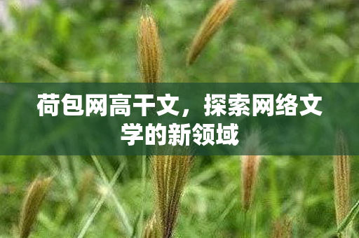 荷包网高干文，探索网络文学的新领域