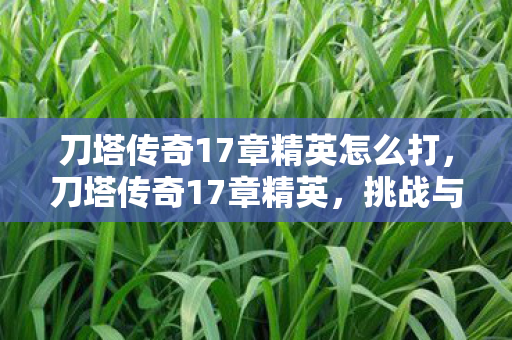 刀塔传奇17章精英怎么打，刀塔传奇17章精英，挑战与策略的深度剖析