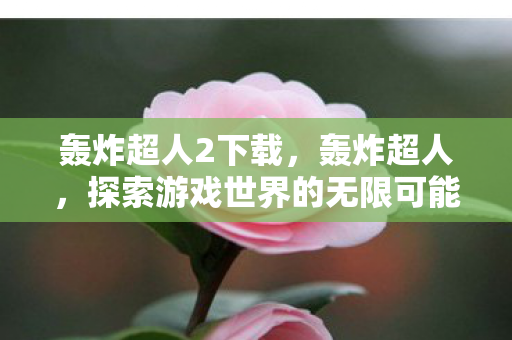 轰炸超人2下载，轰炸超人，探索游戏世界的无限可能