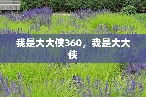 我是大大侠360，我是大大侠