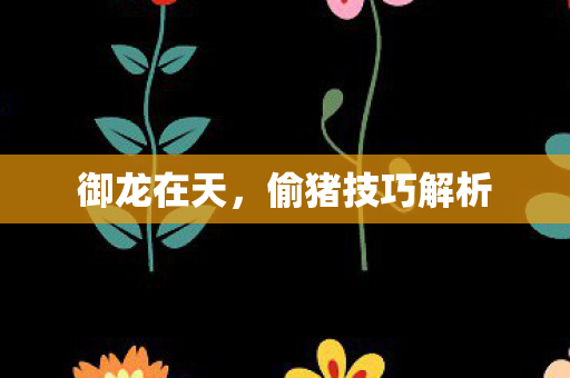 御龙在天，偷猪技巧解析