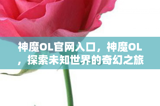 神魔OL官网入口，神魔OL，探索未知世界的奇幻之旅