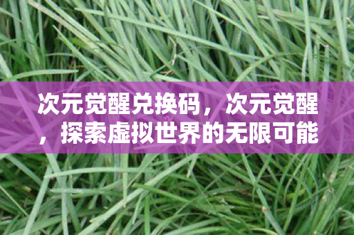 次元觉醒兑换码,次元觉醒,探索虚拟世界的无限可能 次元觉醒兑换码,次元觉醒,探索虚拟世界的无限可能