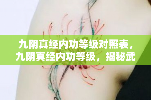 九阴真经内功等级对照表,九阴真经内功等级,揭秘武学巅峰的奥秘 九阴真经内功等级对照表,九阴真经内功等级,揭秘武学巅峰的奥秘