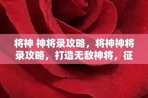 将神 神将录攻略，将神神将录攻略，打造无敌神将，征服乱世！