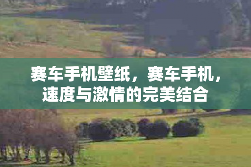 赛车手机壁纸，赛车手机，速度与激情的完美结合