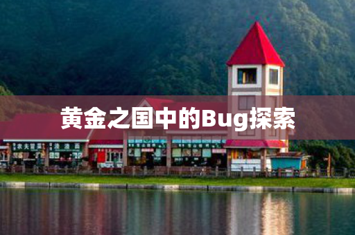 黄金之国中的Bug探索