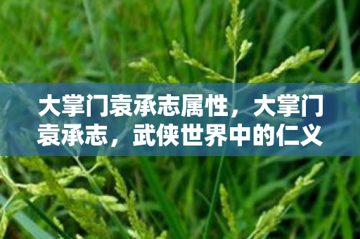 大掌门袁承志属性，大掌门袁承志，武侠世界中的仁义掌门