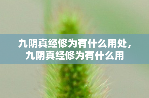 九阴真经修为有什么用处，九阴真经修为有什么用