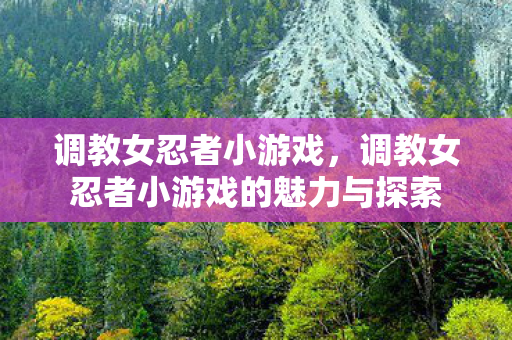 调教女忍者小游戏，调教女忍者小游戏的魅力与探索