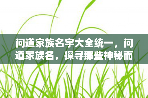 问道家族名字大全统一,问道家族名,探寻那些神秘而强大的团队 问道家族名字大全统一,问道家族名,探寻那些神秘而强大的团队