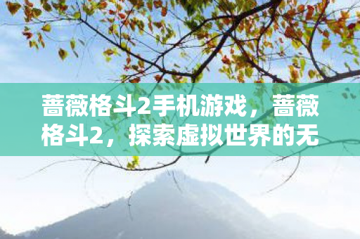 蔷薇格斗2手机游戏，蔷薇格斗2，探索虚拟世界的无限可能