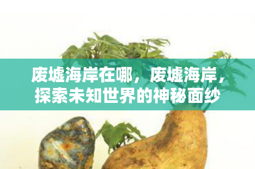 废墟海岸在哪，废墟海岸，探索未知世界的神秘面纱