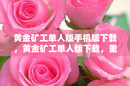 黄金矿工单人版手机版下载,黄金矿工单人版下载,重温经典,尽享挖矿乐趣 黄金矿工单人版手机版下载,黄金矿工单人版下载,重温经典,尽享挖矿乐趣