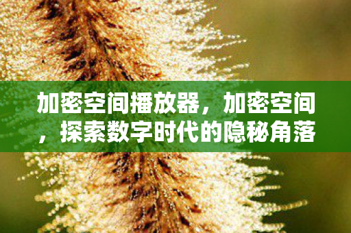 加密空间播放器,加密空间,探索数字时代的隐秘角落 加密空间播放器,加密空间,探索数字时代的隐秘角落