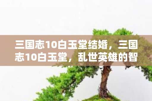三国志10白玉堂结婚，三国志10白玉堂，乱世英雄的智谋与传奇