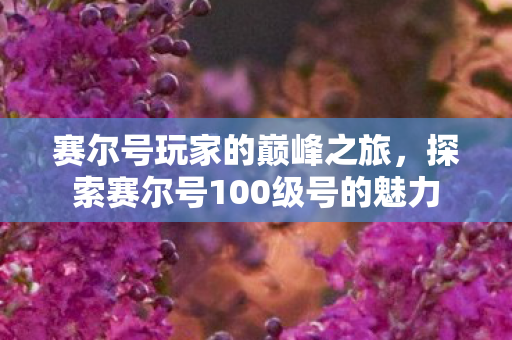赛尔号玩家的巅峰之旅，探索赛尔号100级号的魅力