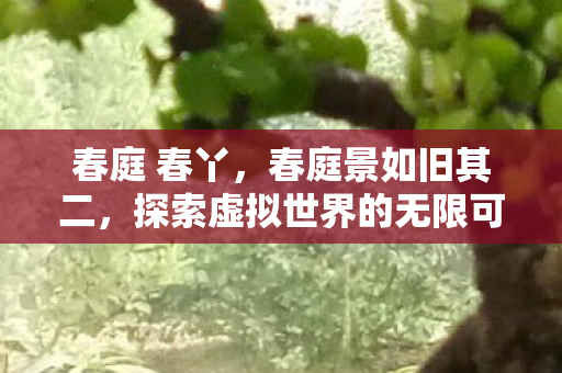 春庭 春丫，春庭景如旧其二，探索虚拟世界的无限可能