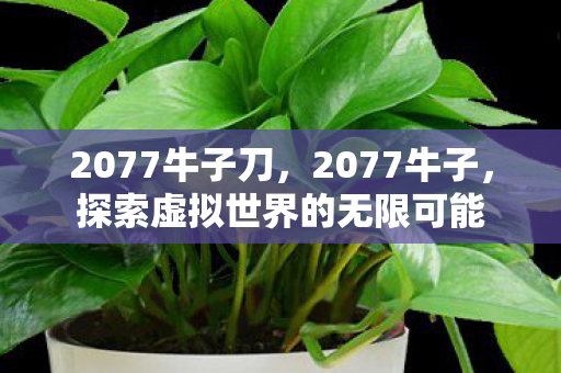 2077牛子刀，2077牛子，探索虚拟世界的无限可能