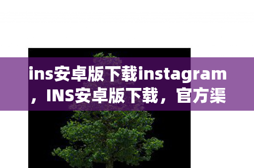 ins安卓版下载instagram，INS安卓版下载，官方渠道与安装指南