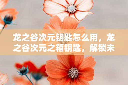 龙之谷次元钥匙怎么用，龙之谷次元之箱钥匙，解锁未知世界的神秘钥匙