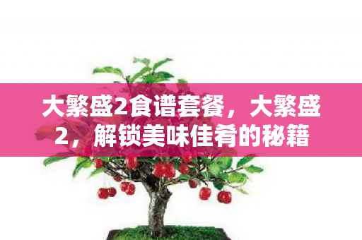 大繁盛2食谱套餐，大繁盛2，解锁美味佳肴的秘籍