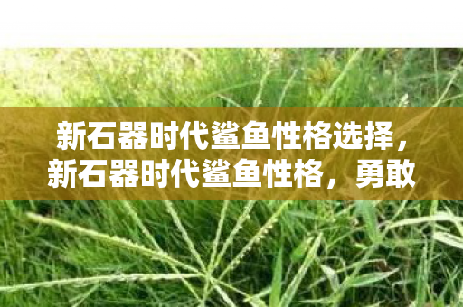 新石器时代鲨鱼性格选择，新石器时代鲨鱼性格，勇敢、独立与智慧并存