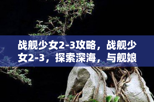 战舰少女2-3攻略，战舰少女2-3，探索深海，与舰娘共舞