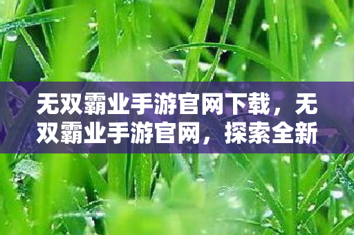 无双霸业手游官网下载，无双霸业手游官网，探索全新游戏世界的奇妙之旅