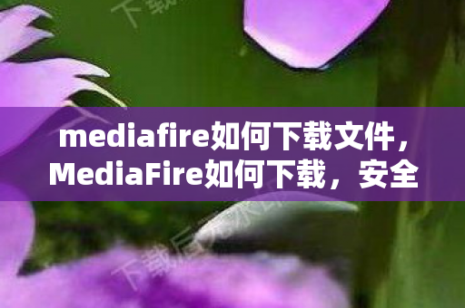 mediafire如何下载文件，MediaFire如何下载，安全、高效、合规的下载指南
