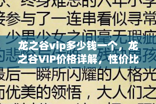 龙之谷vip多少钱一个，龙之谷VIP价格详解，性价比与特权分析