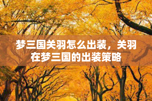 梦三国关羽怎么出装,关羽在梦三国的出装策略 梦三国关羽怎么出装,关羽在梦三国的出装策略