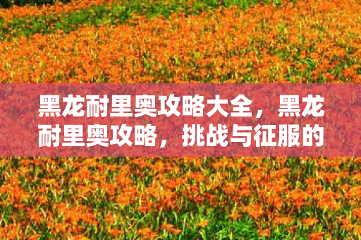 黑龙耐里奥攻略大全，黑龙耐里奥攻略，挑战与征服的终极指南