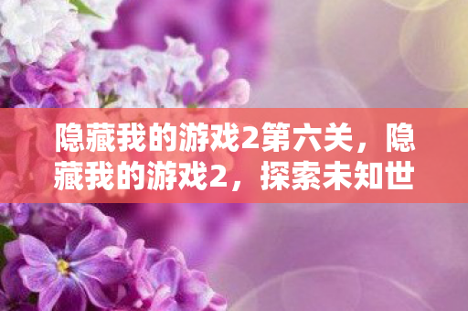 隐藏我的游戏2第六关，隐藏我的游戏2，探索未知世界的奇妙之旅