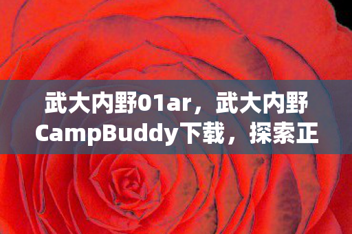 武大内野01ar，武大内野CampBuddy下载，探索正版资源，享受游戏乐趣