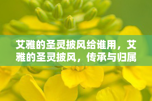 艾雅的圣灵披风给谁用，艾雅的圣灵披风，传承与归属的探讨