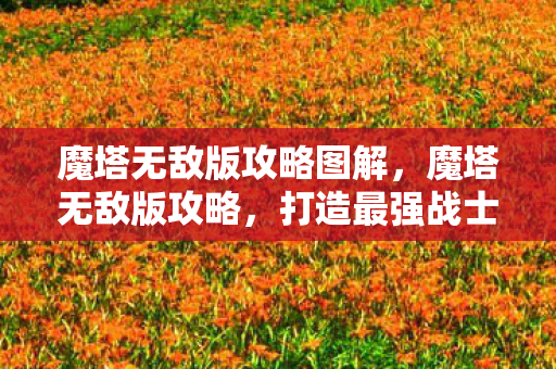 魔塔无敌版攻略图解，魔塔无敌版攻略，打造最强战士的终极指南