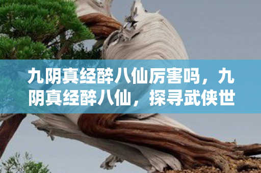 九阴真经醉八仙厉害吗，九阴真经醉八仙，探寻武侠世界的奇妙之旅