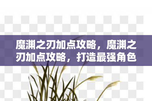 魔渊之刃加点攻略，魔渊之刃加点攻略，打造最强角色的关键步骤
