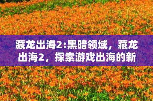 藏龙出海2:黑暗领域，藏龙出海2，探索游戏出海的新蓝海