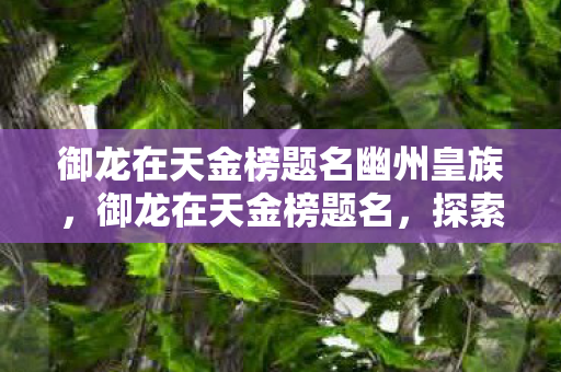 御龙在天金榜题名幽州皇族，御龙在天金榜题名，探索经典游戏的魅力与传承