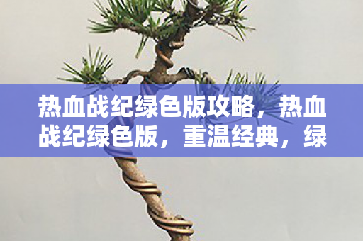 热血战纪绿色版攻略，热血战纪绿色版，重温经典，绿色体验