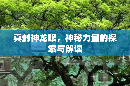 真封神龙眼，神秘力量的探索与解读