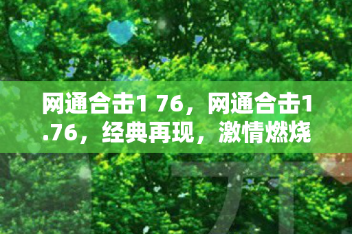 网通合击1 76，网通合击1.76，经典再现，激情燃烧的岁月