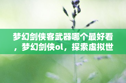 梦幻剑侠客武器哪个最好看，梦幻剑侠ol，探索虚拟世界的无限可能