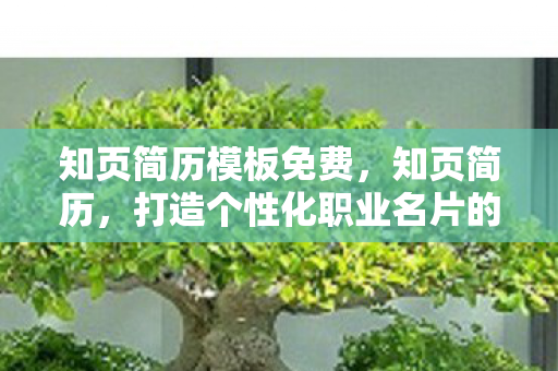 知页简历模板免费，知页简历，打造个性化职业名片的秘密武器