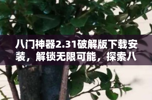八门神器2.31破解版下载安装，解锁无限可能，探索八门神器2.31破解版的奥秘
