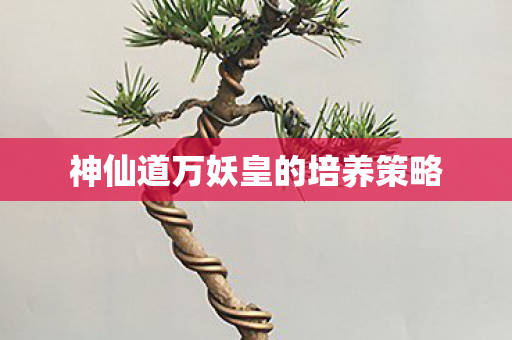 神仙道万妖皇的培养策略